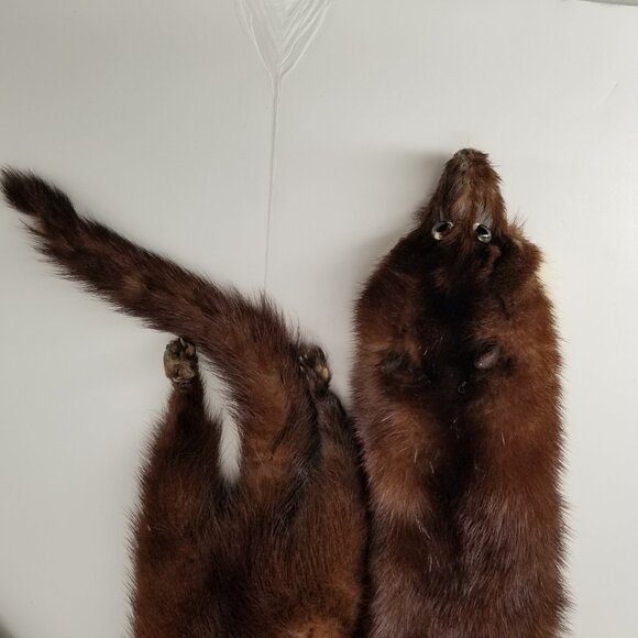 Vintage Hess's Genuine Mink Fur Stole Wrap Scarf w/ 3 Full Body Pelts - Picture 10 of 10